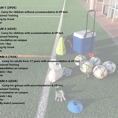 Successuni Fussball ️camp Hostel